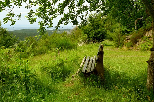 处理传球时 处理传球时