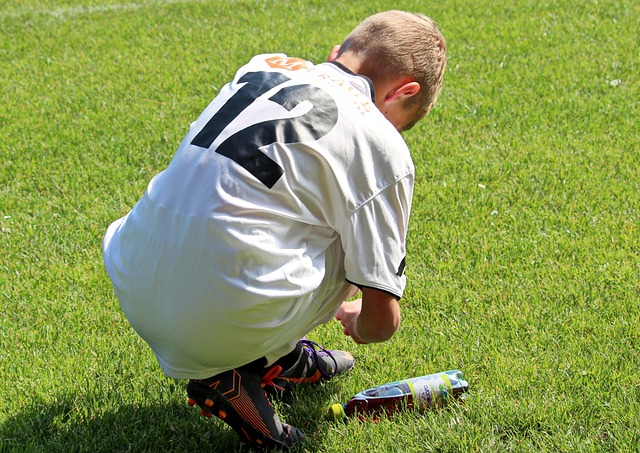 受瞩目的皇 受瞩目的皇