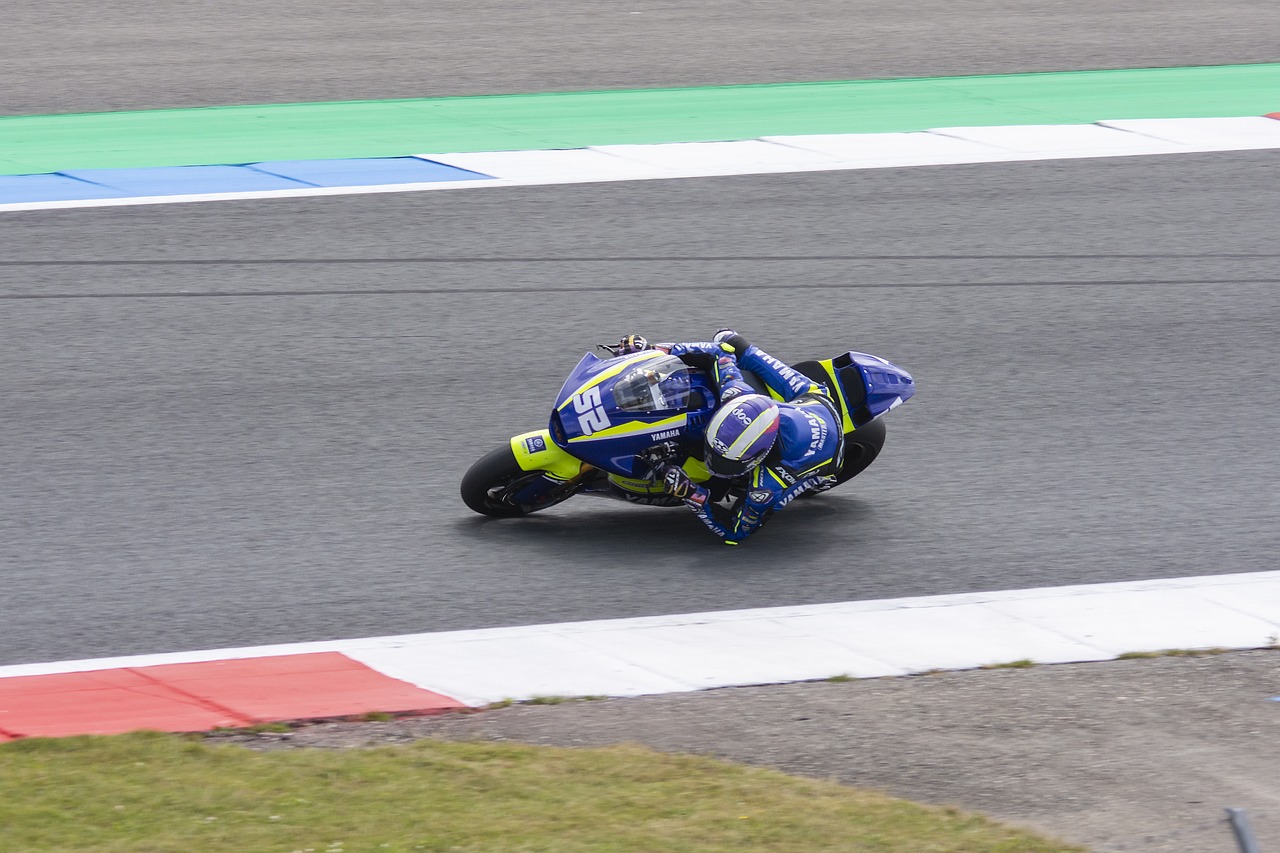 明智的选择 明智的选择